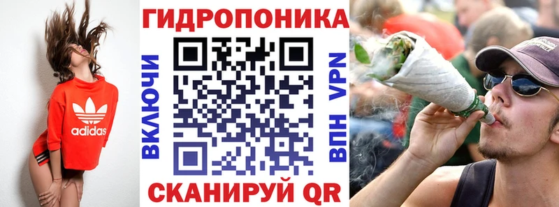 Конопля AK-47 Тайга